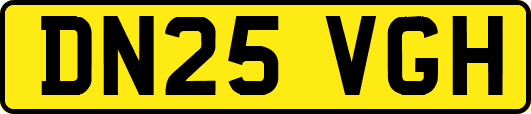 DN25VGH