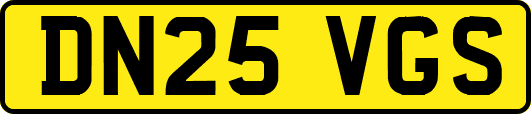 DN25VGS