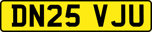 DN25VJU