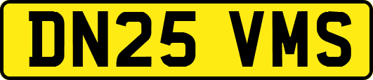 DN25VMS