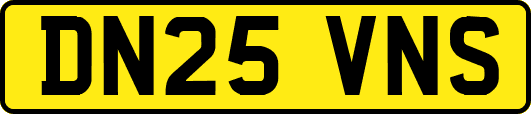 DN25VNS