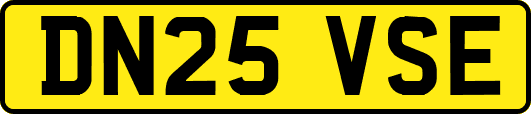 DN25VSE