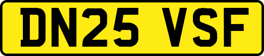 DN25VSF