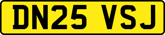 DN25VSJ