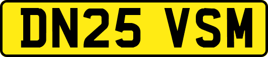 DN25VSM