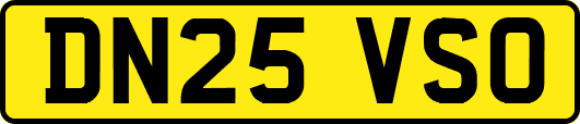DN25VSO
