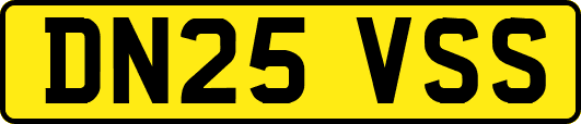 DN25VSS