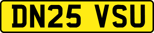 DN25VSU