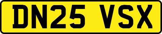DN25VSX