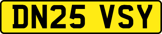 DN25VSY
