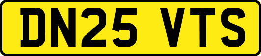 DN25VTS