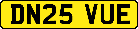 DN25VUE
