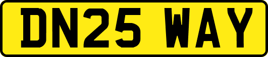 DN25WAY