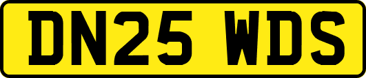 DN25WDS