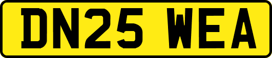 DN25WEA