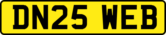 DN25WEB
