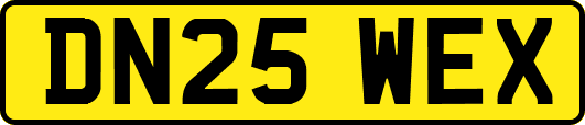 DN25WEX