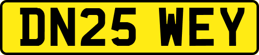 DN25WEY