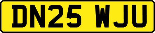 DN25WJU
