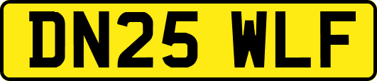 DN25WLF