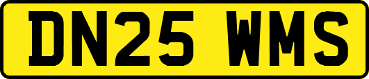 DN25WMS