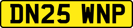 DN25WNP