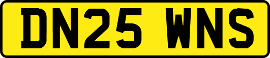 DN25WNS