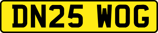 DN25WOG