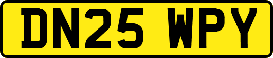 DN25WPY