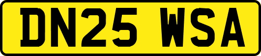 DN25WSA