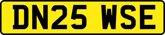 DN25WSE