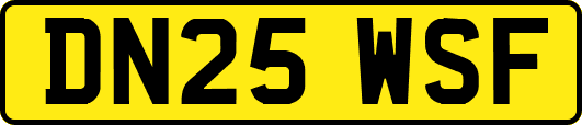 DN25WSF