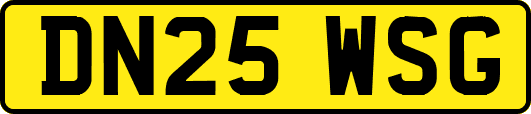 DN25WSG