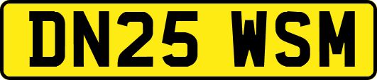 DN25WSM