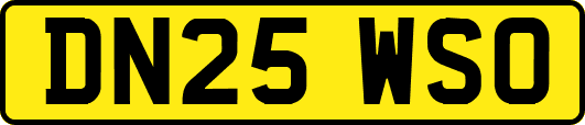 DN25WSO