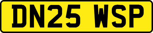 DN25WSP