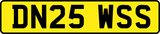 DN25WSS