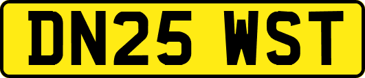 DN25WST