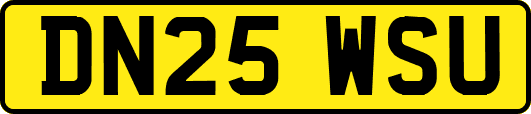 DN25WSU