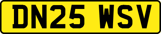 DN25WSV