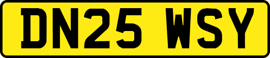 DN25WSY