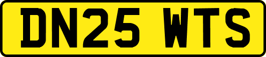 DN25WTS