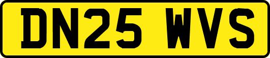 DN25WVS