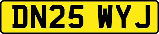 DN25WYJ