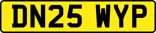 DN25WYP