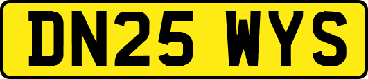 DN25WYS