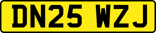 DN25WZJ