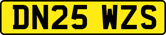 DN25WZS