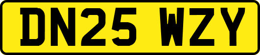 DN25WZY