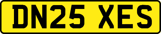 DN25XES